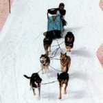 6Dog
