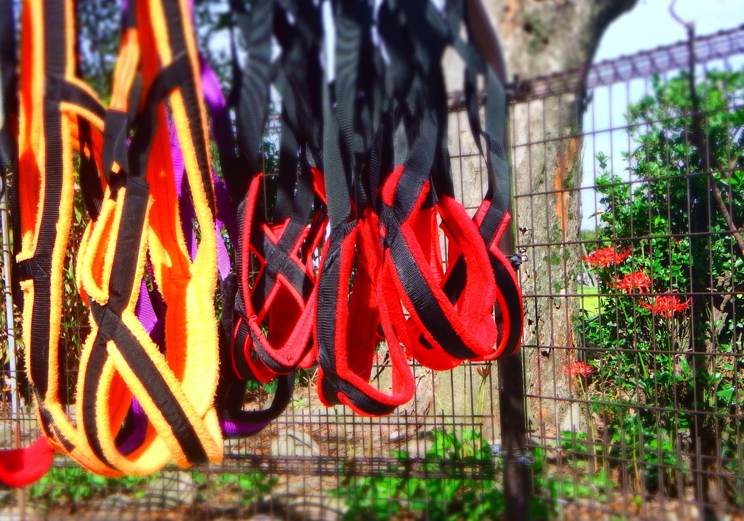 犬ぞりハーネス