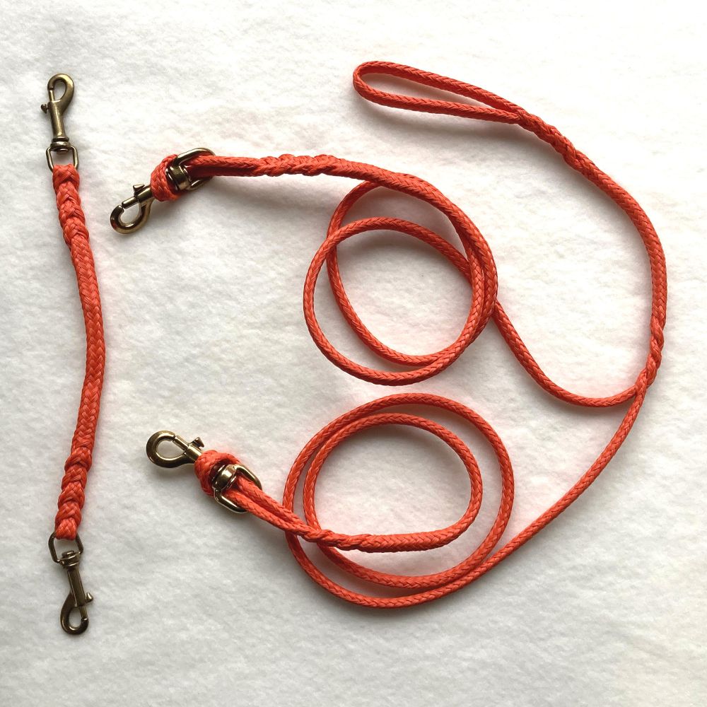 2Dogライン-オレンジ